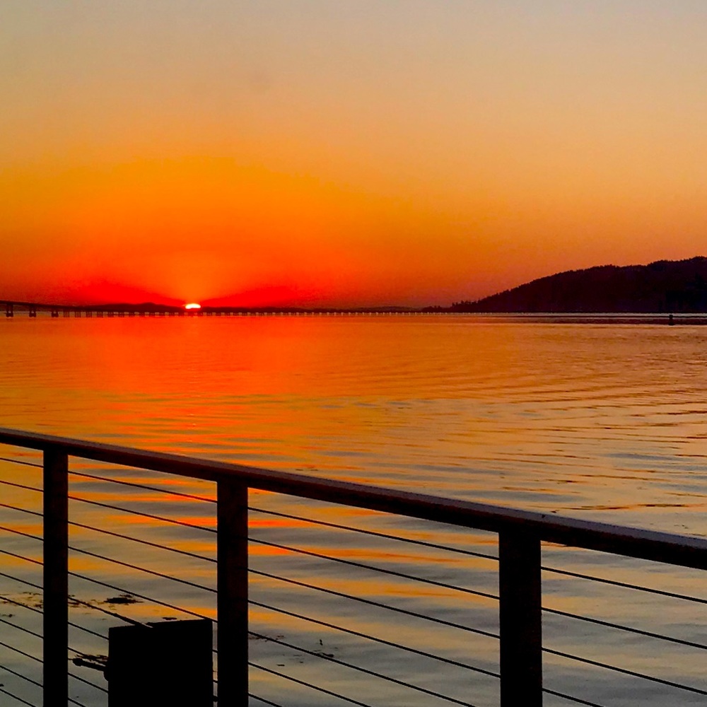 Meet your Posher, Reagan